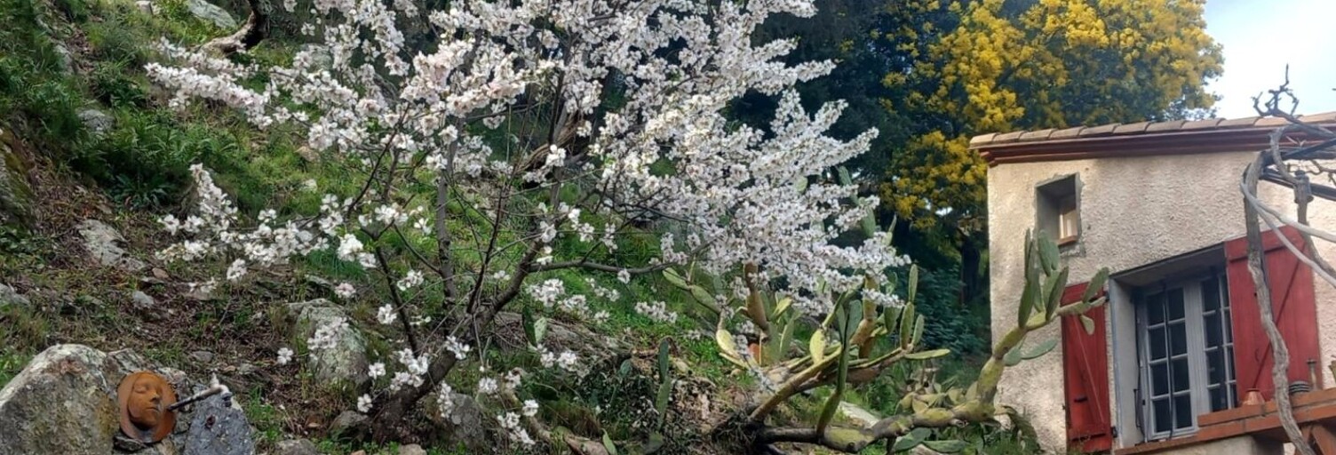 Maison 5 Pièces 120 m² à vendre à Céret (66400)