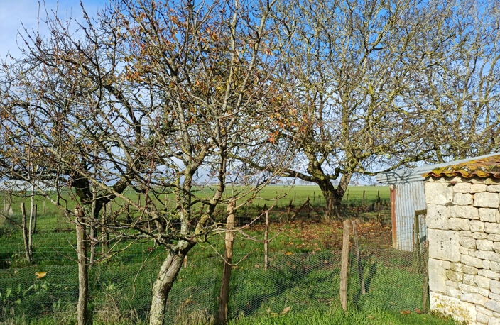 Terrain constructible de 1330 m2 — photo 2