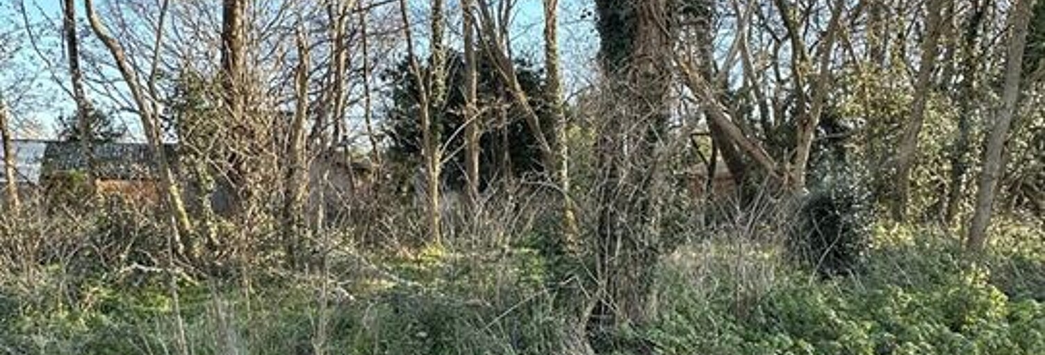 Terrain  2330 m² à vendre à Grayan-et-l'Hôpital (33590)