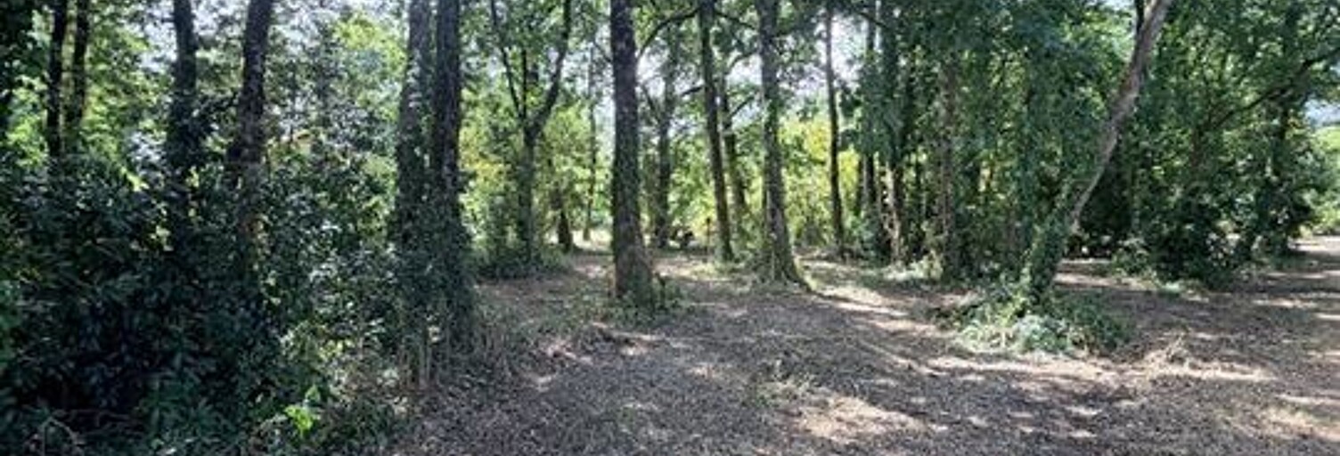 Terrain  2330 m² à vendre à Grayan-et-l'Hôpital (33590)