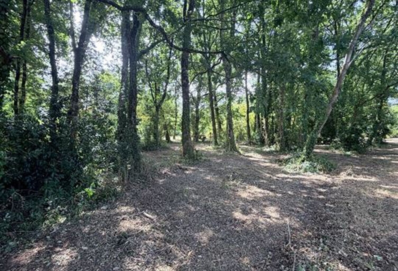 Terrain - 2330m ² — photo 1
