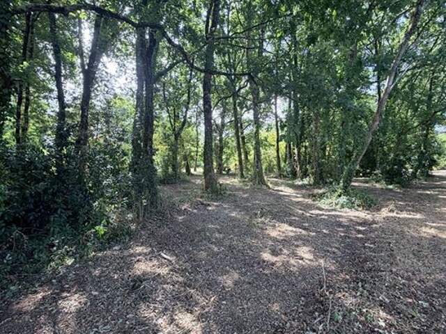 Terrain - 2330m ² — photo du bien