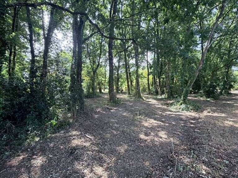 Terrain - 2330m ² — photo 1