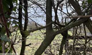 Terrain  500 m² à vendre à Le Quesnoy (59530)