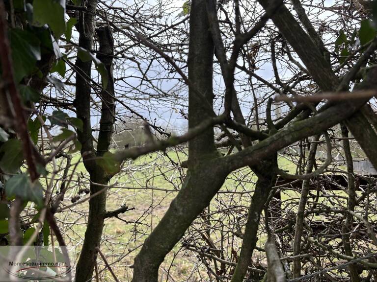 Terrain — photo 1