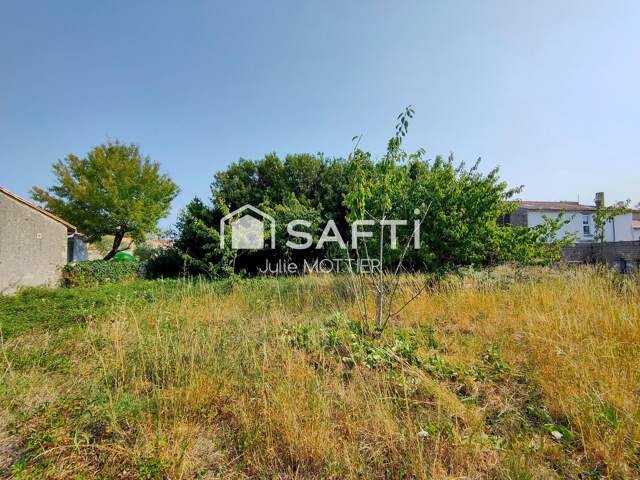TERRAIN A BATIR SAINTE MARIE DE RE Zone Ua 300m² au sol possible — photo du bien