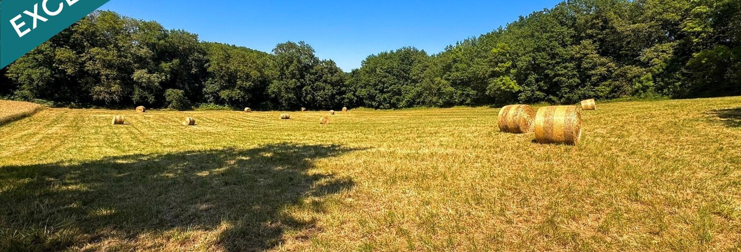 Terrain  6866 m² à vendre à Limeuil (24510)