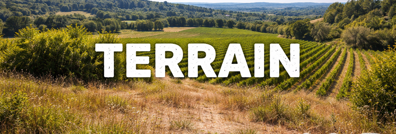 Terrain  6590 m² à vendre à Saint-Pons-la-Calm (30330)