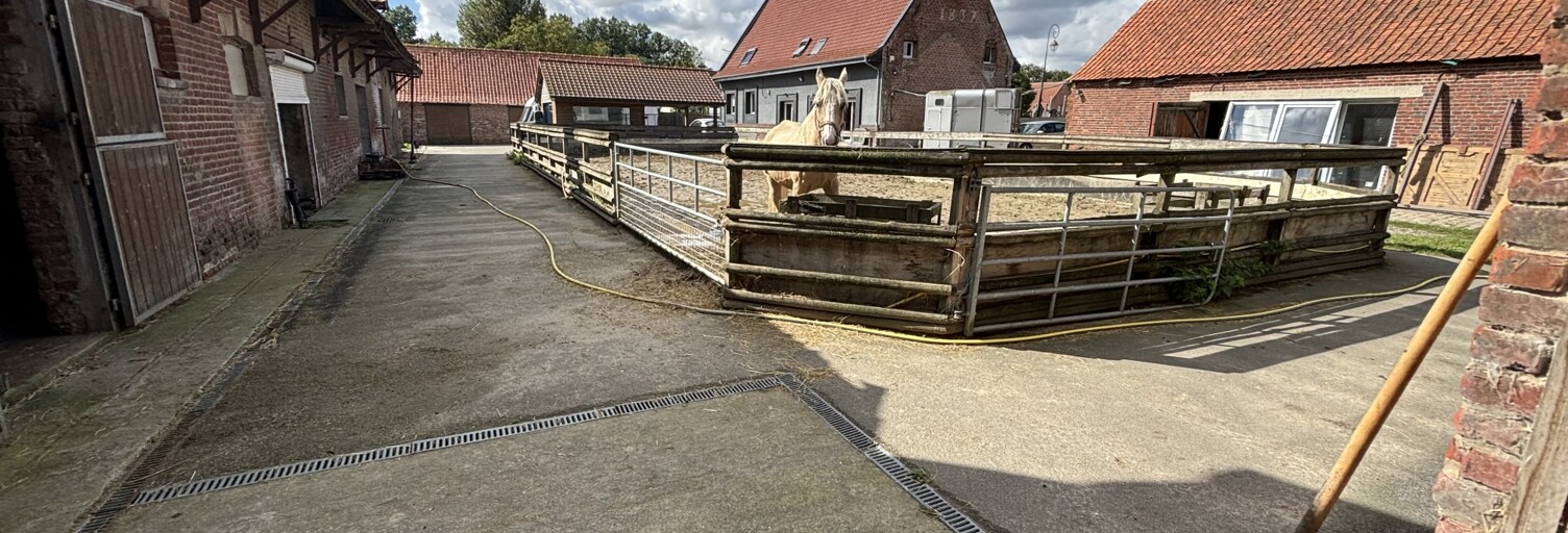 Maison 7 Pièces 205 m² à vendre à Eringhem (59470)