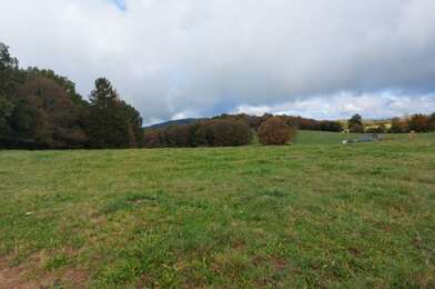 Terrain  23000 €