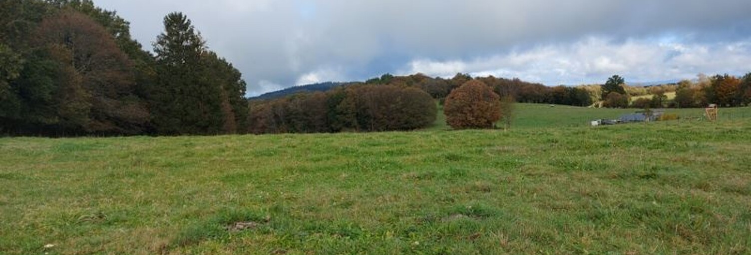 Terrain  1611 m² à vendre à Palazinges (19190)