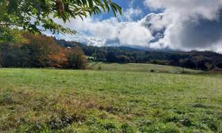 Terrain  2964 m² à vendre à Palazinges (19190)