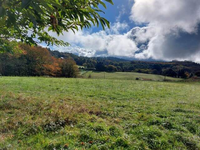 Terrain à bâtir de 0 pièces principales — photo du bien