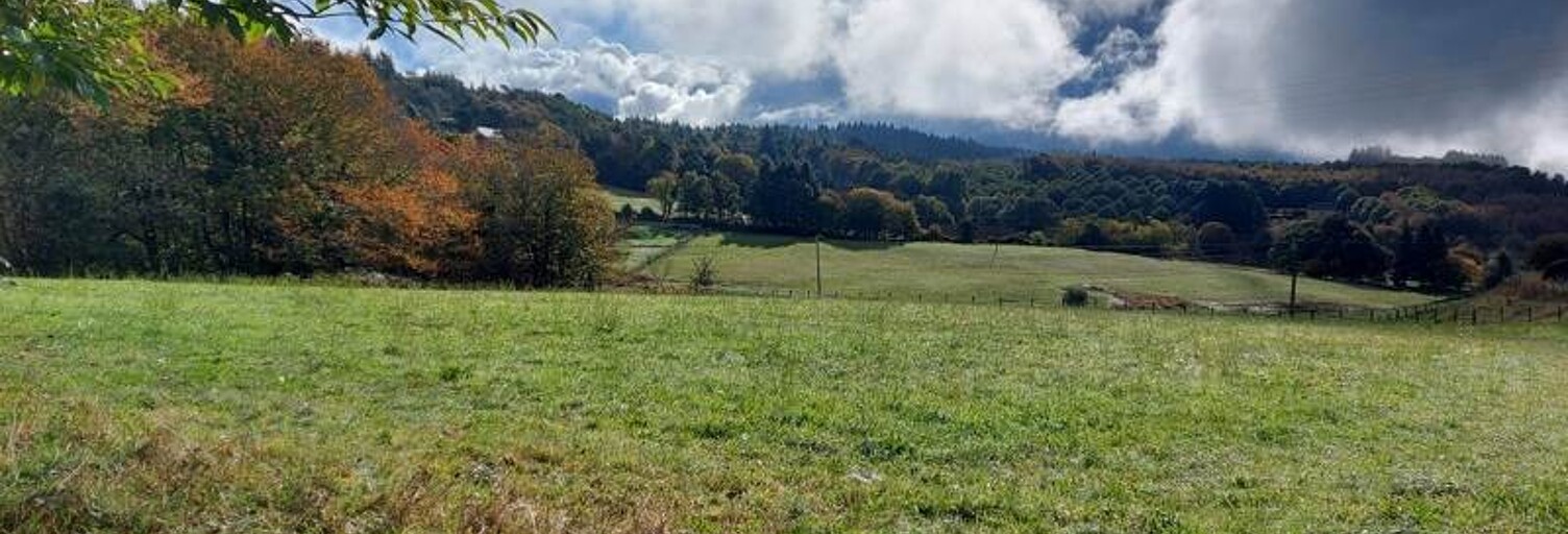 Terrain  2964 m² à vendre à Palazinges (19190)