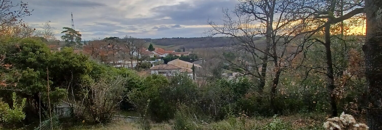 Terrain  4155 m² à vendre à Montrabé (31850)