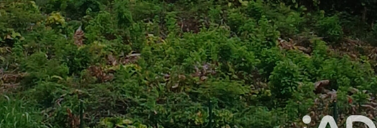 Terrain  1157 m² à vendre à Saint-Joseph (97480)