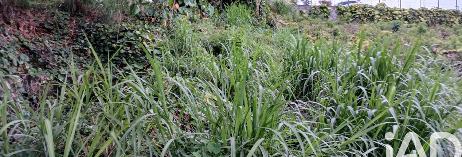 Terrain  1157 m² à vendre à Saint-Joseph (97480)