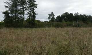 Terrain  430 m² à vendre à Castres-Gironde (33640)