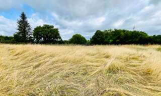 Terrain  1000 m² à vendre à Saint-Pierre-de-Chignac (24330)