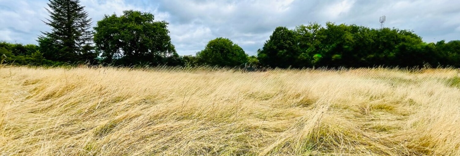 Terrain  1000 m² à vendre à Saint-Pierre-de-Chignac (24330)