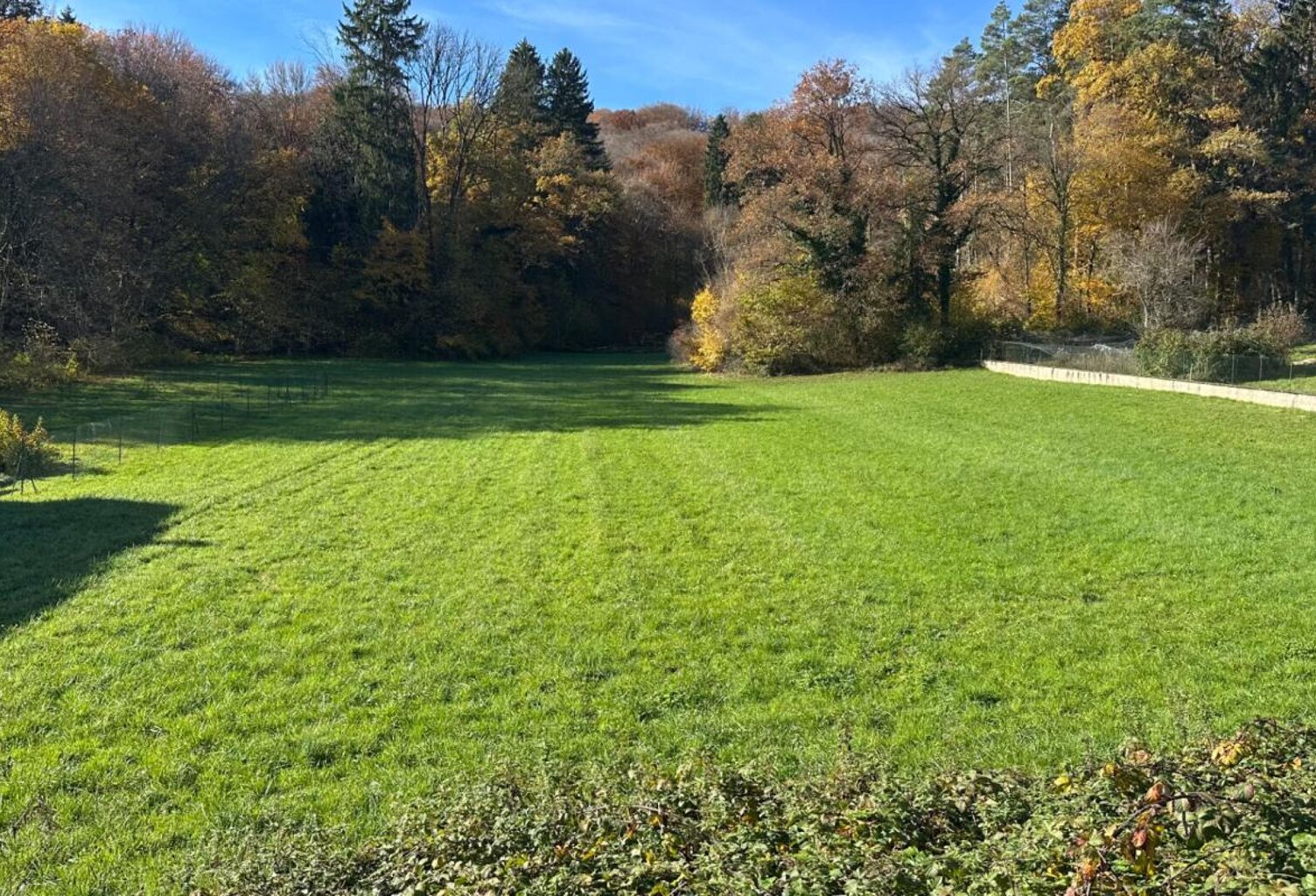 Terrain constructible 2620 m2 — photo 1