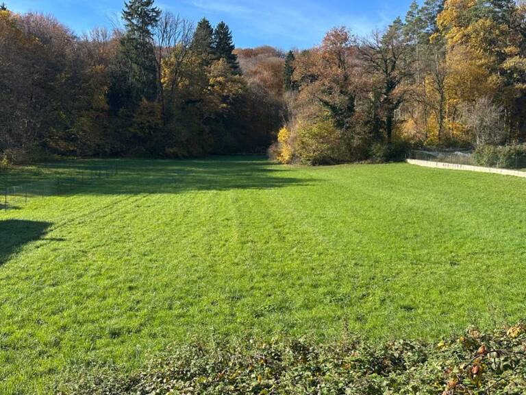 Terrain constructible 2620 m2 — photo 1