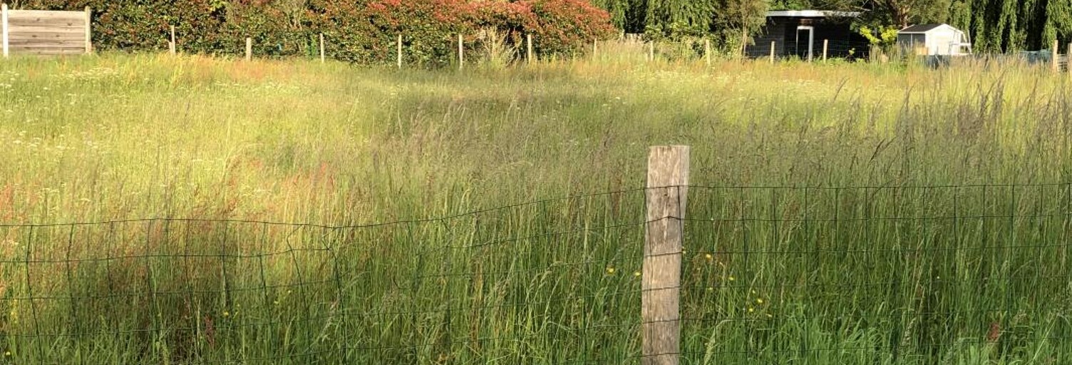 Maison 60 m² à construire Le Teich (33470)