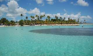 Maison 6 Pièces 165 m² à vendre à Sainte-Anne (97180)