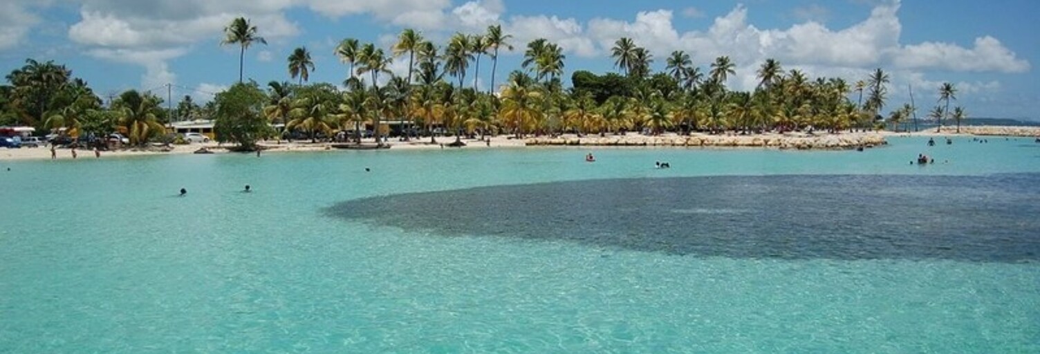 Maison 6 Pièces 165 m² à vendre à Sainte-Anne (97180)