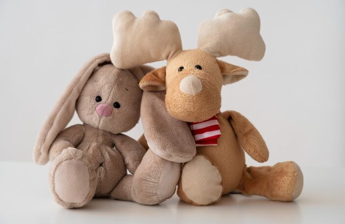 A vendre Fonds de commerce JEUX, JOUETS, ACTIVITES ET CADEAUX ORIGINAUX :  Le magasin ludique et familial incontournable du centre-ville ! — photo 2