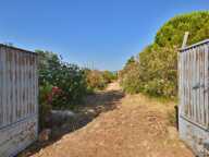 PUGET VILLE (83) - CABANON DE 32M² SUR PARCELLE DE 5748M² — photo 2
