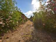 PUGET VILLE (83) - CABANON DE 32M² SUR PARCELLE DE 5748M² — photo 3