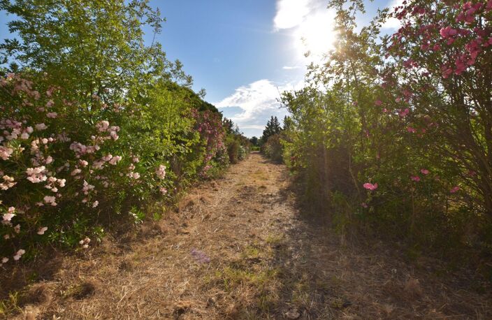 PUGET VILLE (83) - CABANON DE 32M² SUR PARCELLE DE 5748M² — photo 3