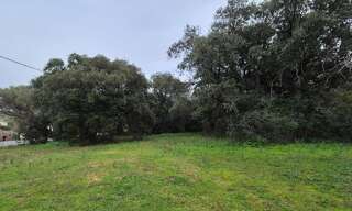 Terrain  1152 m² à vendre à Lumio (20260)