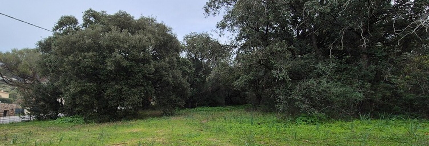 Terrain  1152 m² à vendre à Lumio (20260)