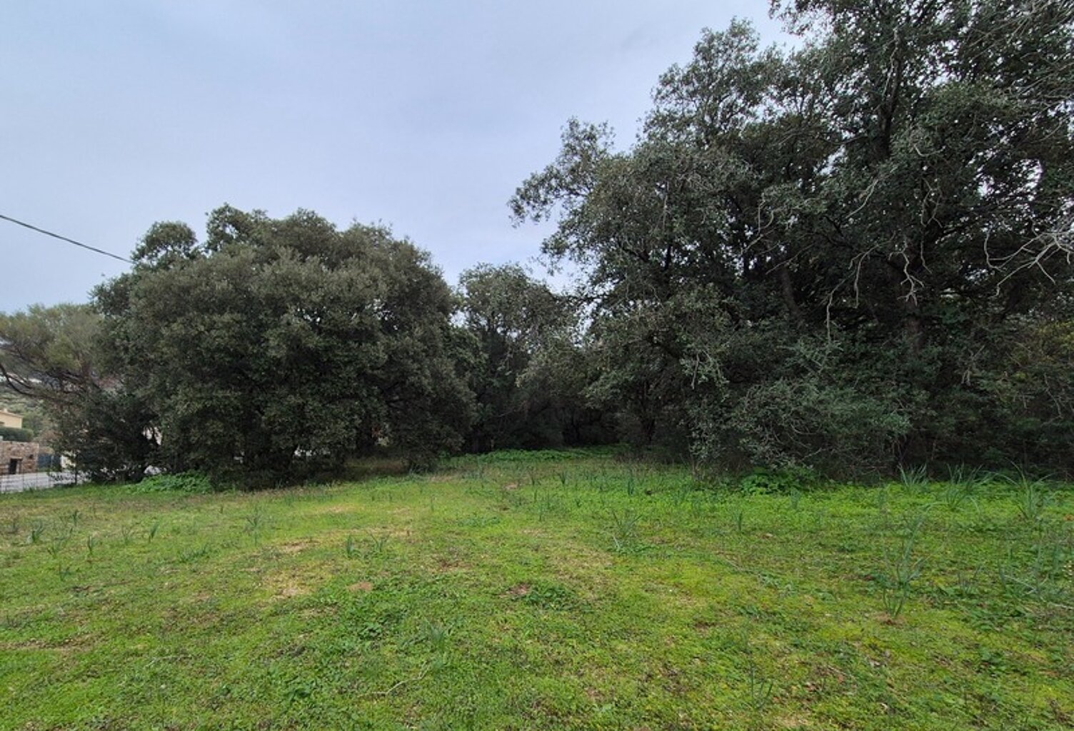 Terrain à vendre  LUMIO (20) — photo 1