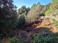 VERO (20) TERRAIN A BATIR — photo 4