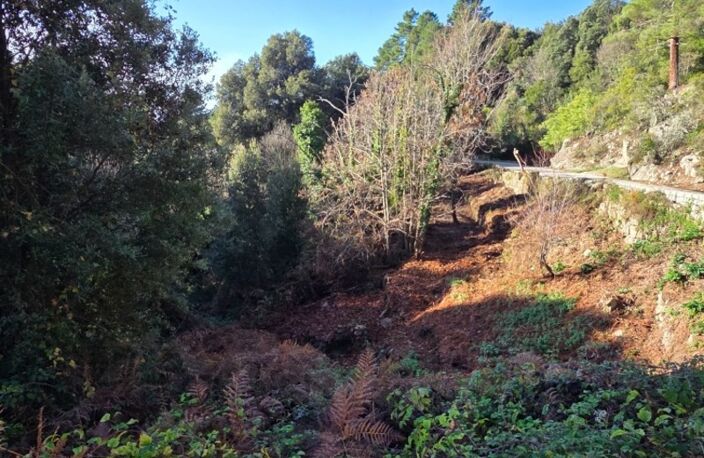 VERO (20) TERRAIN A BATIR — photo 4