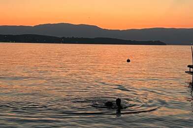 Appartement 2 pièces 960 €