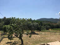 MAISON DE CAMPAGNE AU COEUR DES VIGNES — photo 4