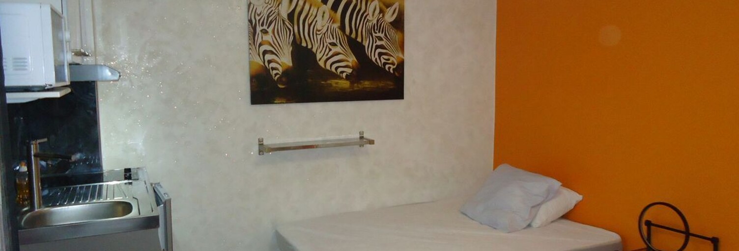 Appartement 1 Pièce 20 m² à louer à Grenoble (38000)