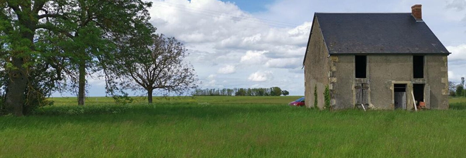 Maison 2 Pièces 120 m² à vendre à Cornusse (18350)