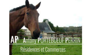 Terrain  25150 m² à vendre à Réguiny (56500)