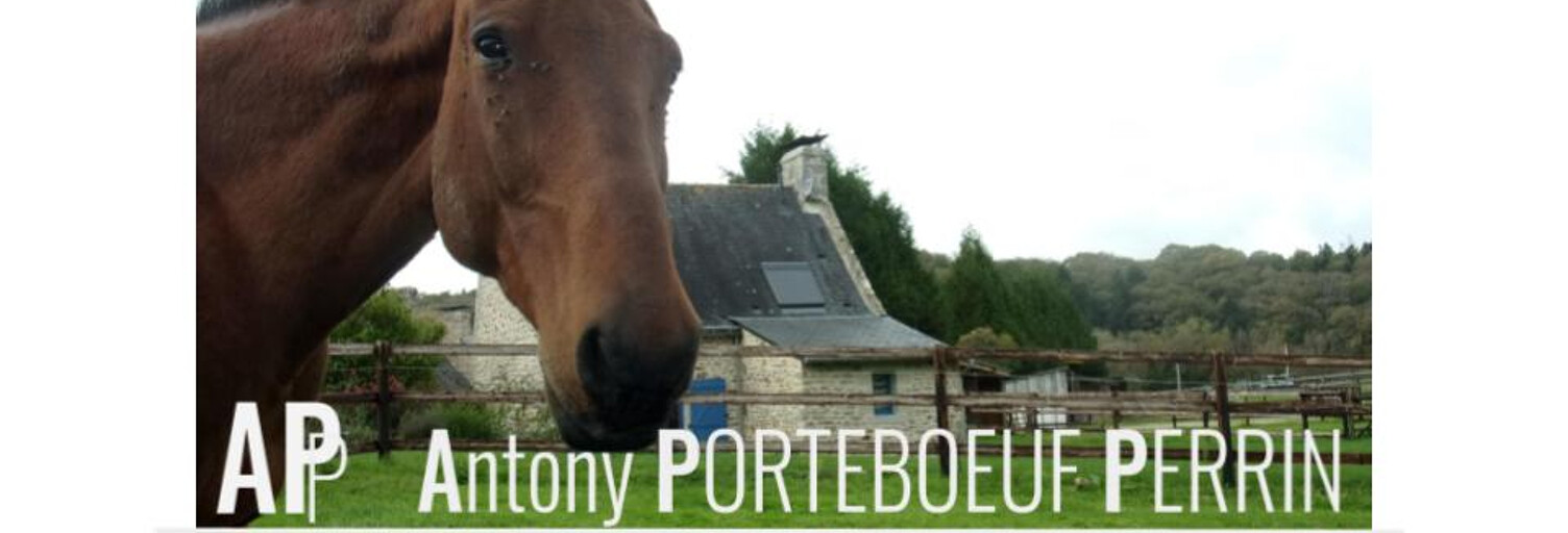 Terrain  25150 m² à vendre à Réguiny (56500)