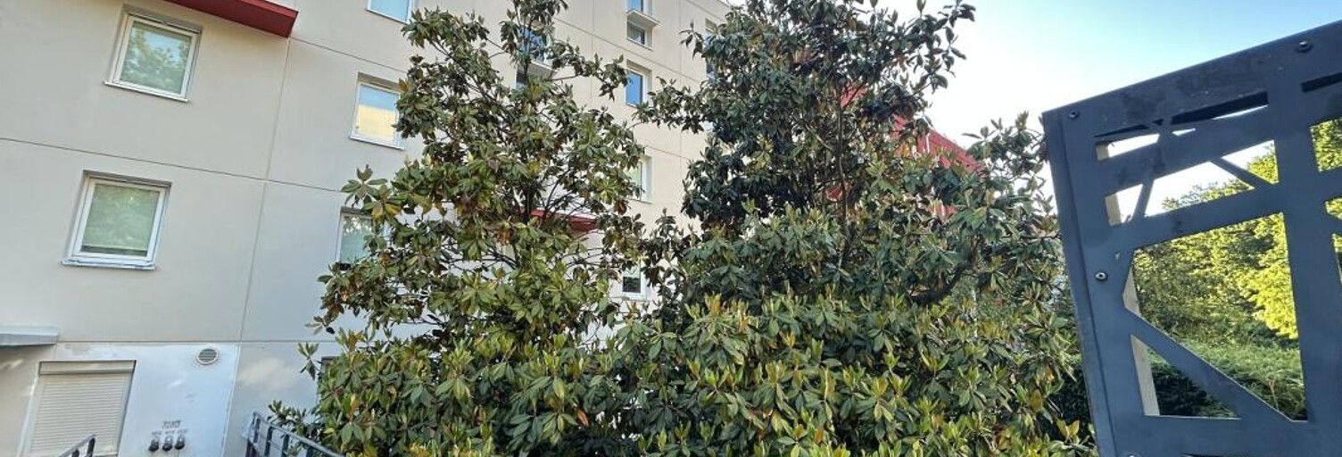 Appartement 1 Pièce 19 m² à vendre à Nantes (44300)