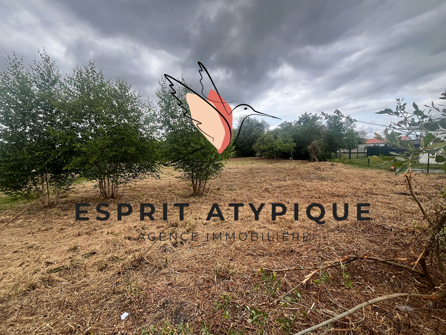 Agence immobilière de Barnabé