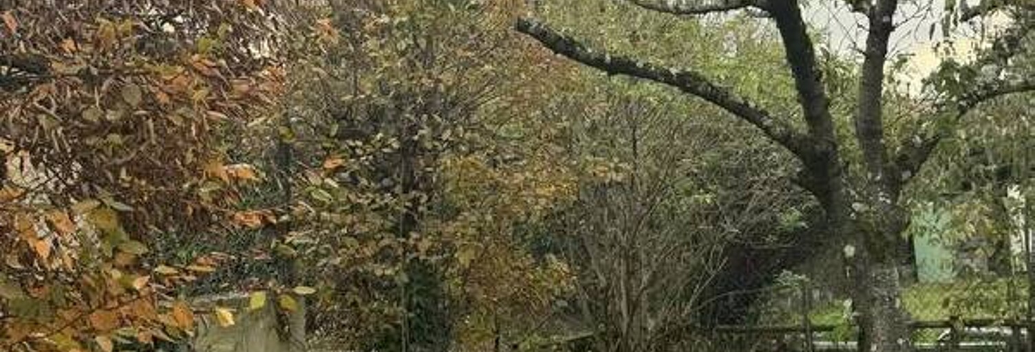 Appartement 1 Pièce 25 m² à louer à Lyon 8 (69008)