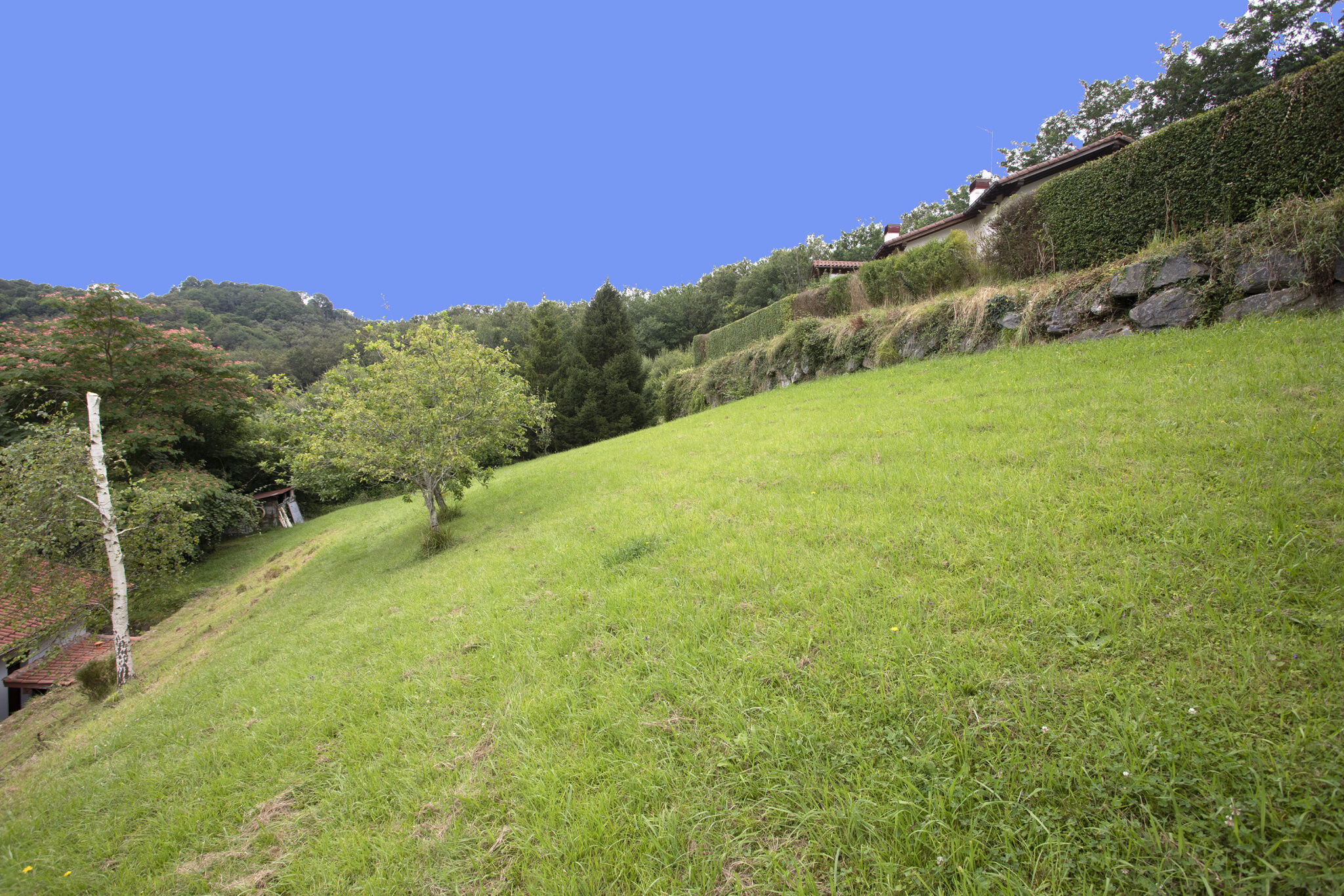 Terrain  à vendre Urrugne 64122