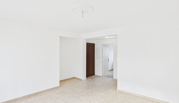 Appartement 3 pièces  à louer Bastia 20200