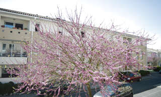 Appartement 3 Pièces 61 m² à vendre à Bègles (33130)